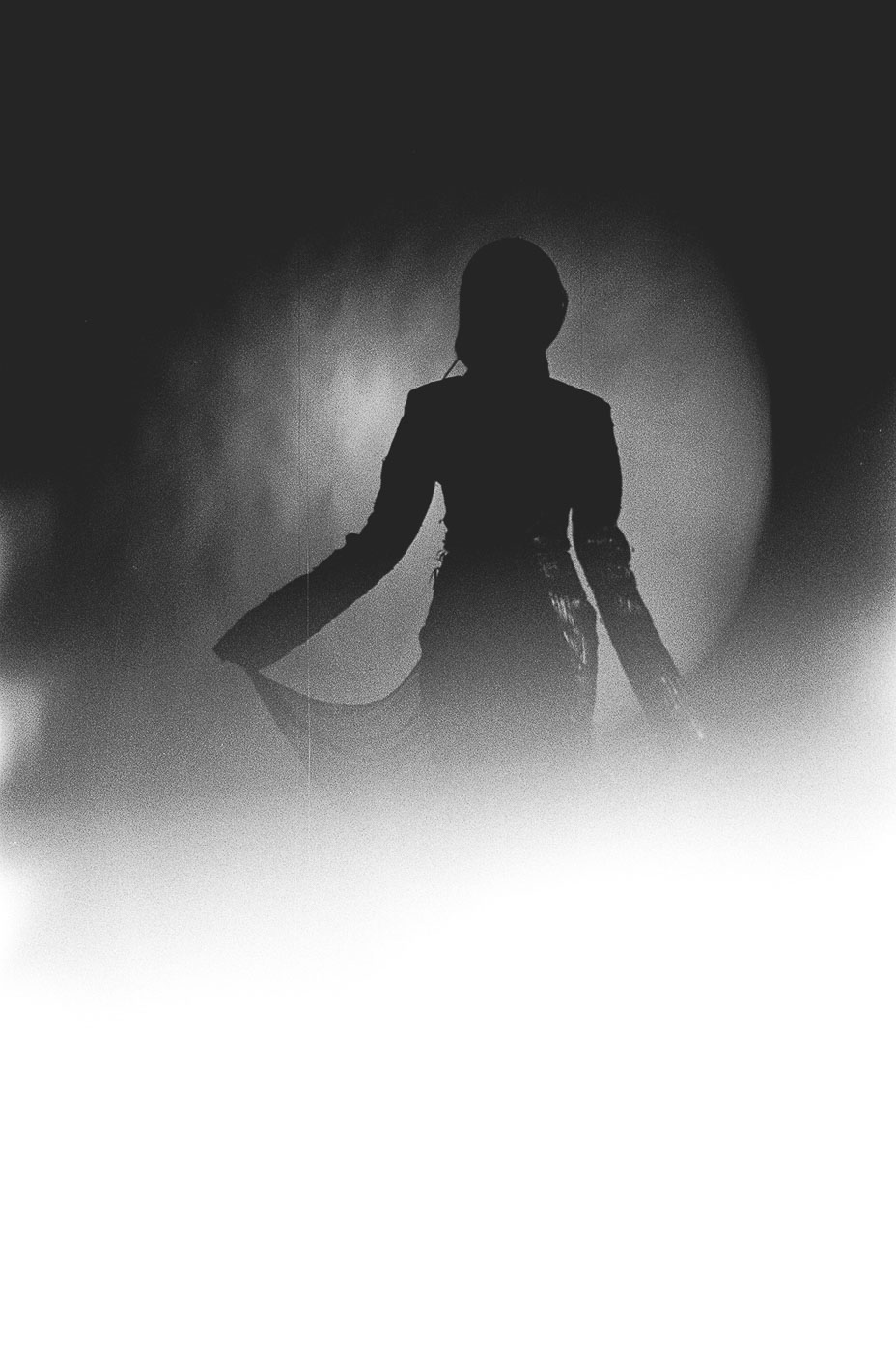 Vessillo del canto muto foto 22